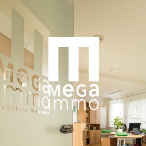 RME Digital Productions - Projekt MegaImmo